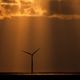 Illustration for article titled Japan Mulls Nixing Nukes in Favor of Farming Wind